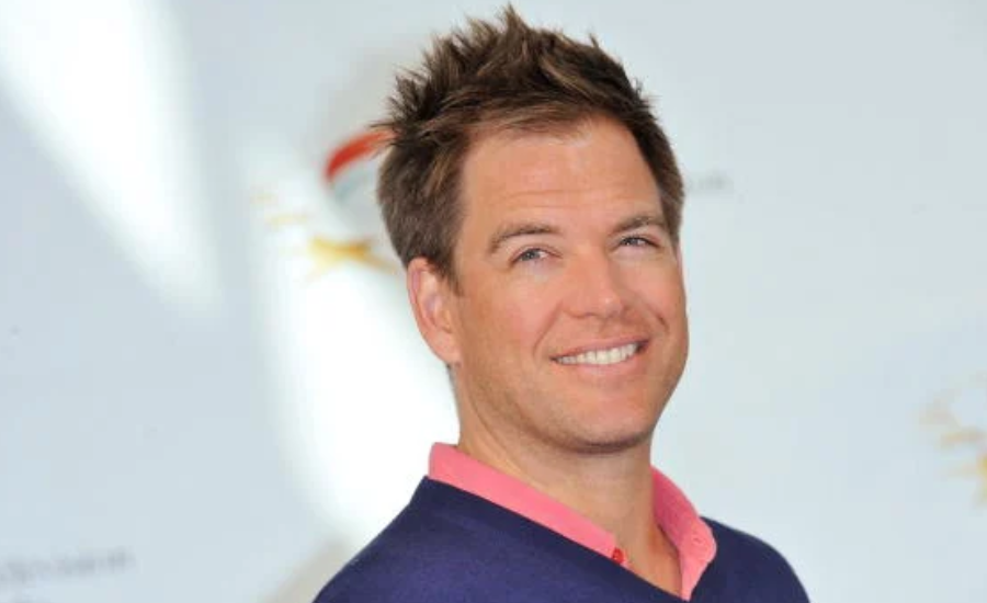 michael weatherly net worth