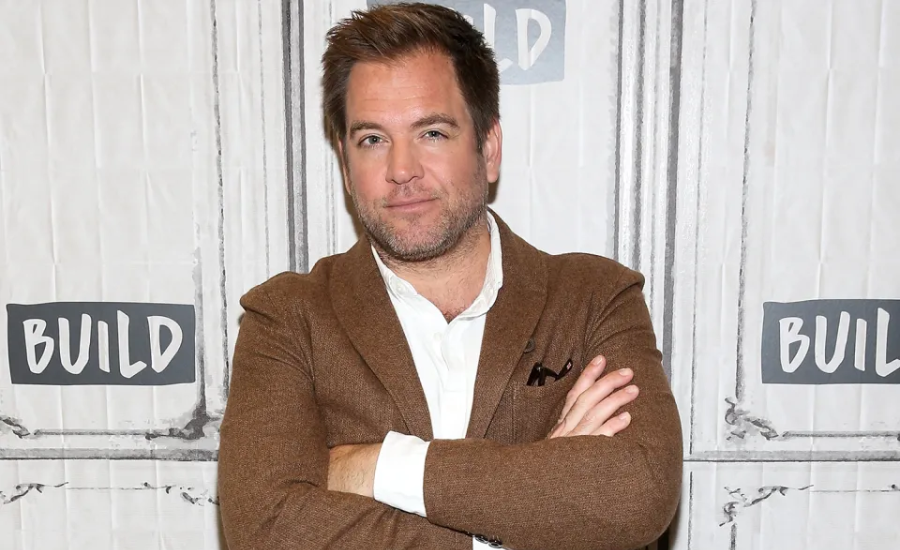 michael weatherly net worth